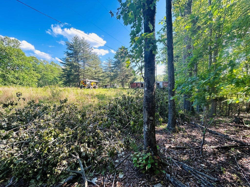 Tbd Pipers Gap Road Galax, VA 24333 - Photo 21 of 21 Gallery Image 21