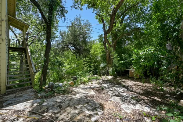 a view of a forest with a tree
