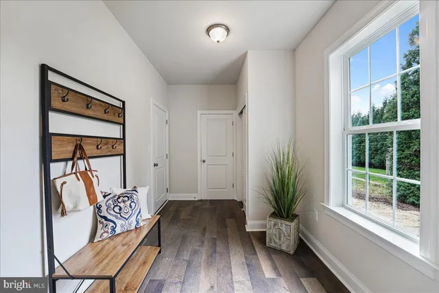 a view of front door with wooden floor and a potted plant