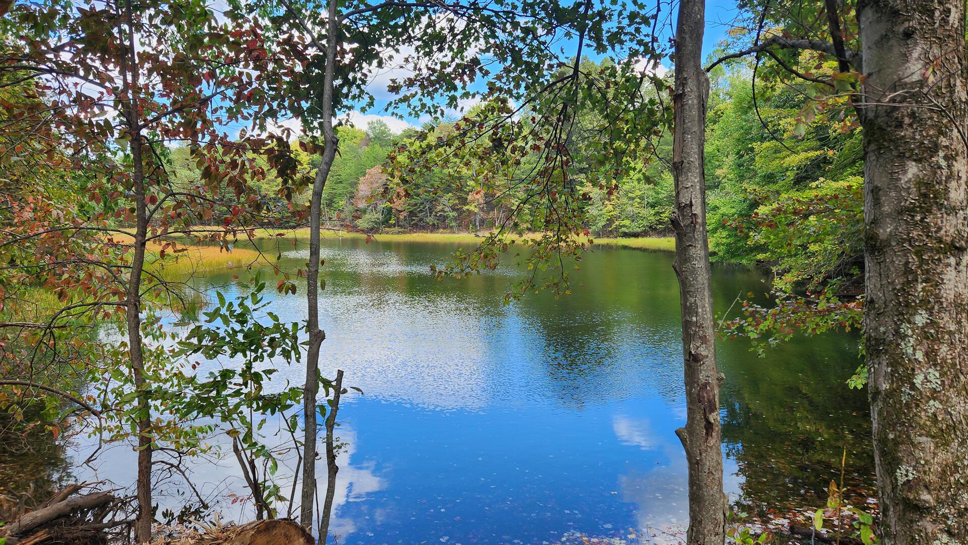 680 Nibert Road, Unit PONDS POPLAR RIDGE TRACT 10) Gallipolis, OH 45631 - Photo 2 of 46 CT-2