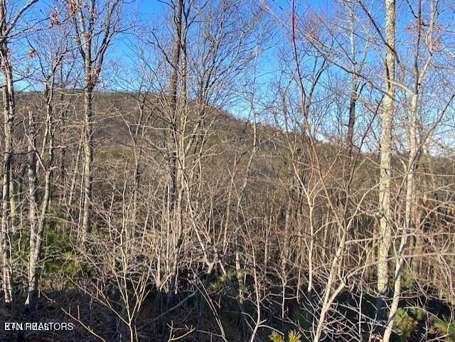 Harvest Moon Road Sevierville, TN 37862 - Photo 11 of 14 20220214144006719022000000-o