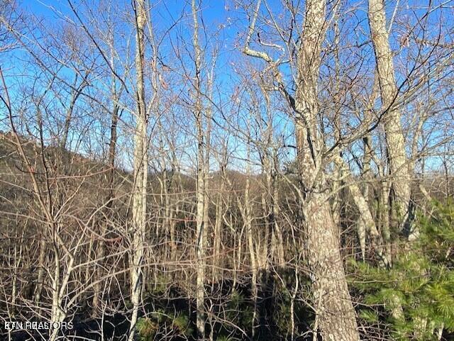Harvest Moon Road Sevierville, TN 37862 - Photo 12 of 14 20220214144007619756000000-o