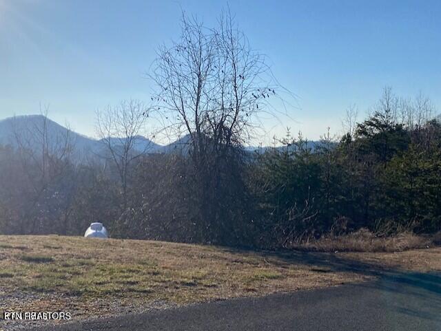 Harvest Moon Road Sevierville, TN 37862 - Photo 13 of 14 20220214144009466176000000-o