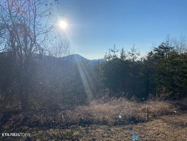 Harvest Moon Road Sevierville, TN 37862 - Photo 14 of 14 20220214144010178697000000-o