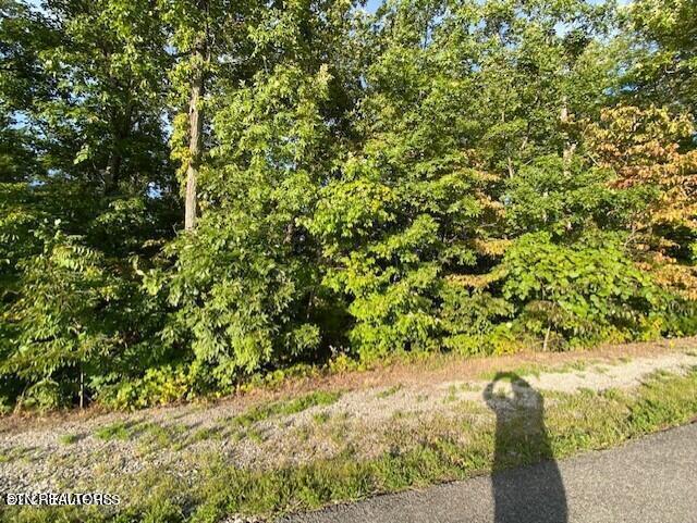 Harvest Moon Road Sevierville, TN 37862 - Photo 2 of 14 20211017010210893971000000-o