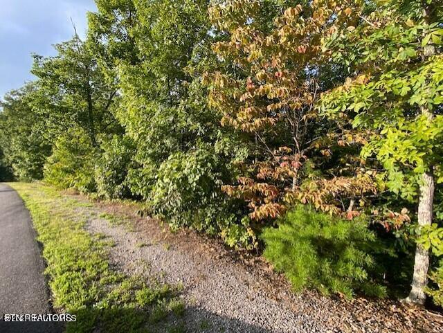 Harvest Moon Road Sevierville, TN 37862 - Photo 4 of 14 20211017010212567577000000-o