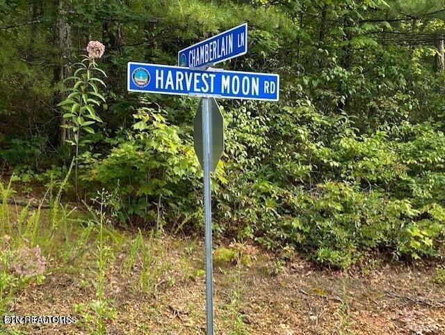 Harvest Moon Road Sevierville, TN 37862 - Photo 7 of 14 20211017010215556318000000-o