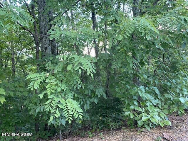 Harvest Moon Road Sevierville, TN 37862 - Photo 8 of 14 20211017010216824827000000-o
