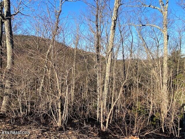 Harvest Moon Road Sevierville, TN 37862 - Photo 10 of 14 20220214144005807905000000-o