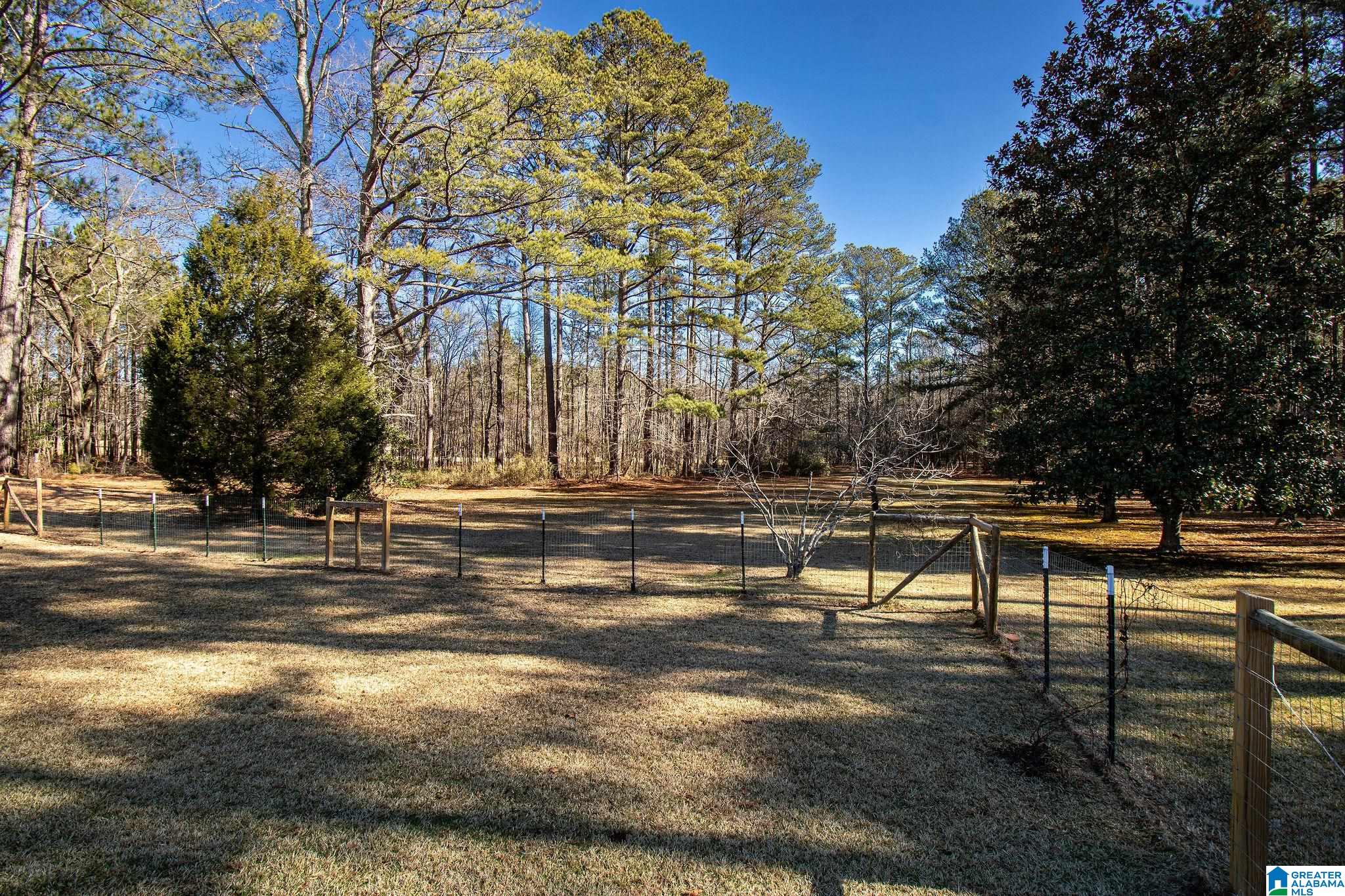 1809 Blue Ridge Road Lineville, AL 36266 - Photo 61 of 69