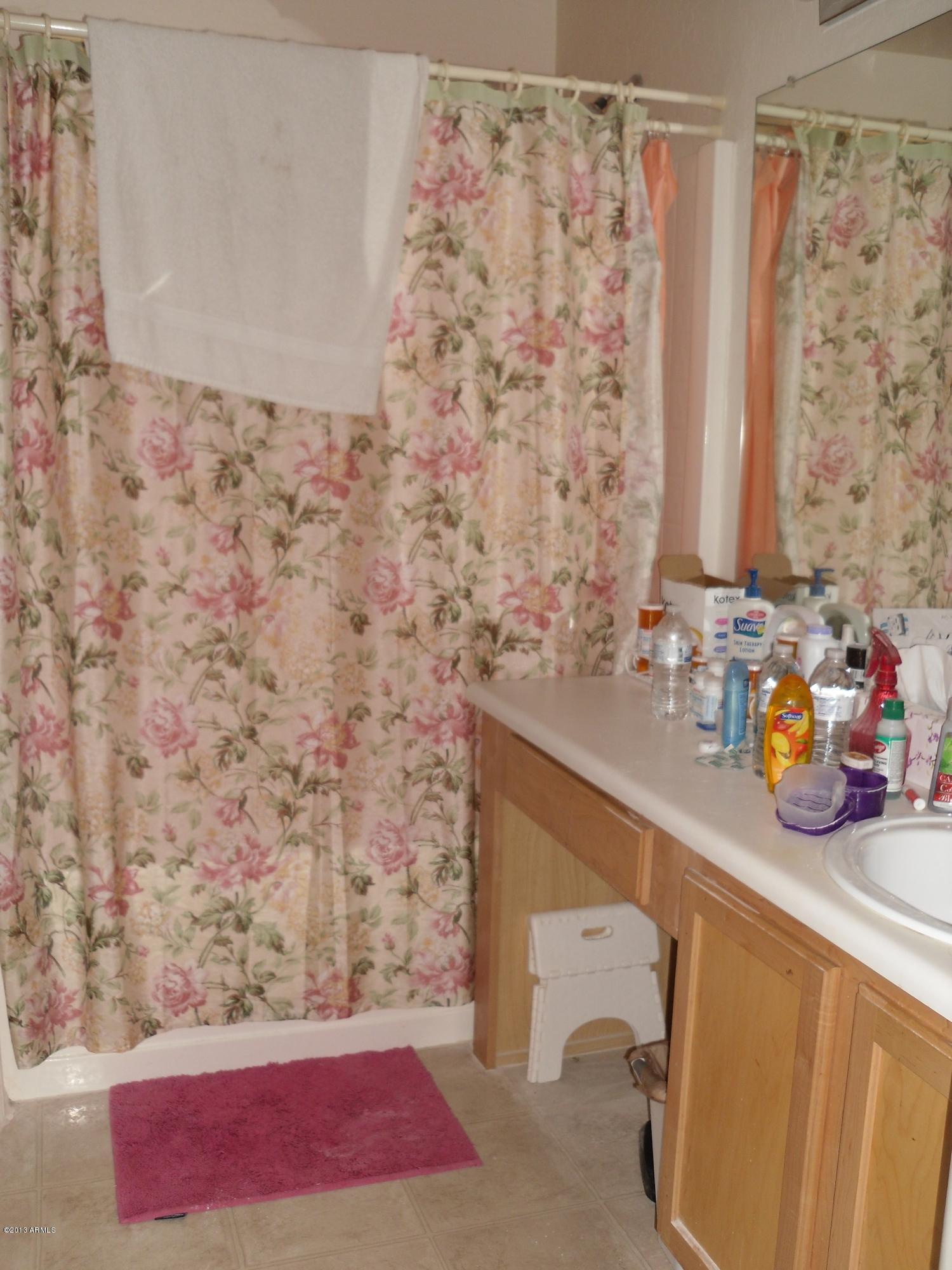 3807 South Conestoga Road Apache Junction, AZ 85119 - Photo 9 of 16 Partial view of Master bath