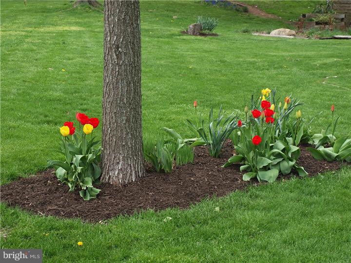5217 Clauser Road Orefield, PA 18069 - Photo 23 of 25 Gallery Image 23