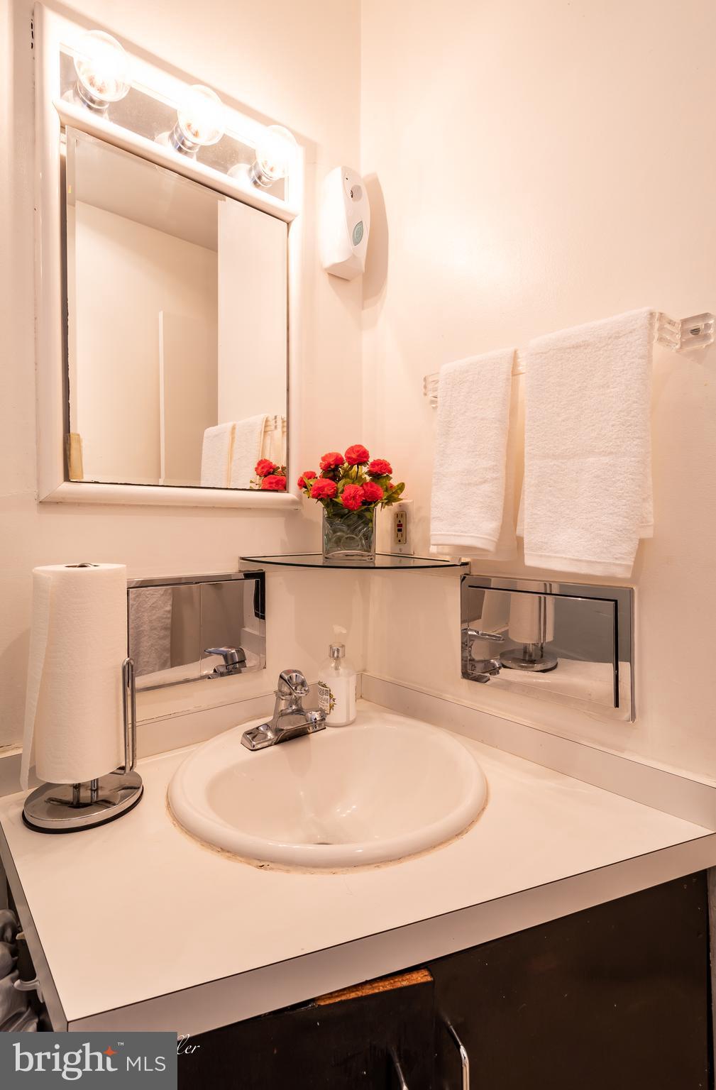 8123 Scotts Level Road Baltimore, MD 21208 - Photo 14 of 44 Master Bath