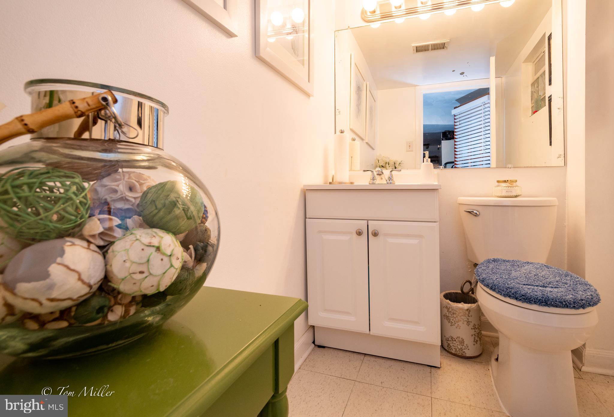 8123 Scotts Level Road Baltimore, MD 21208 - Photo 27 of 44 Bath - Lower Level