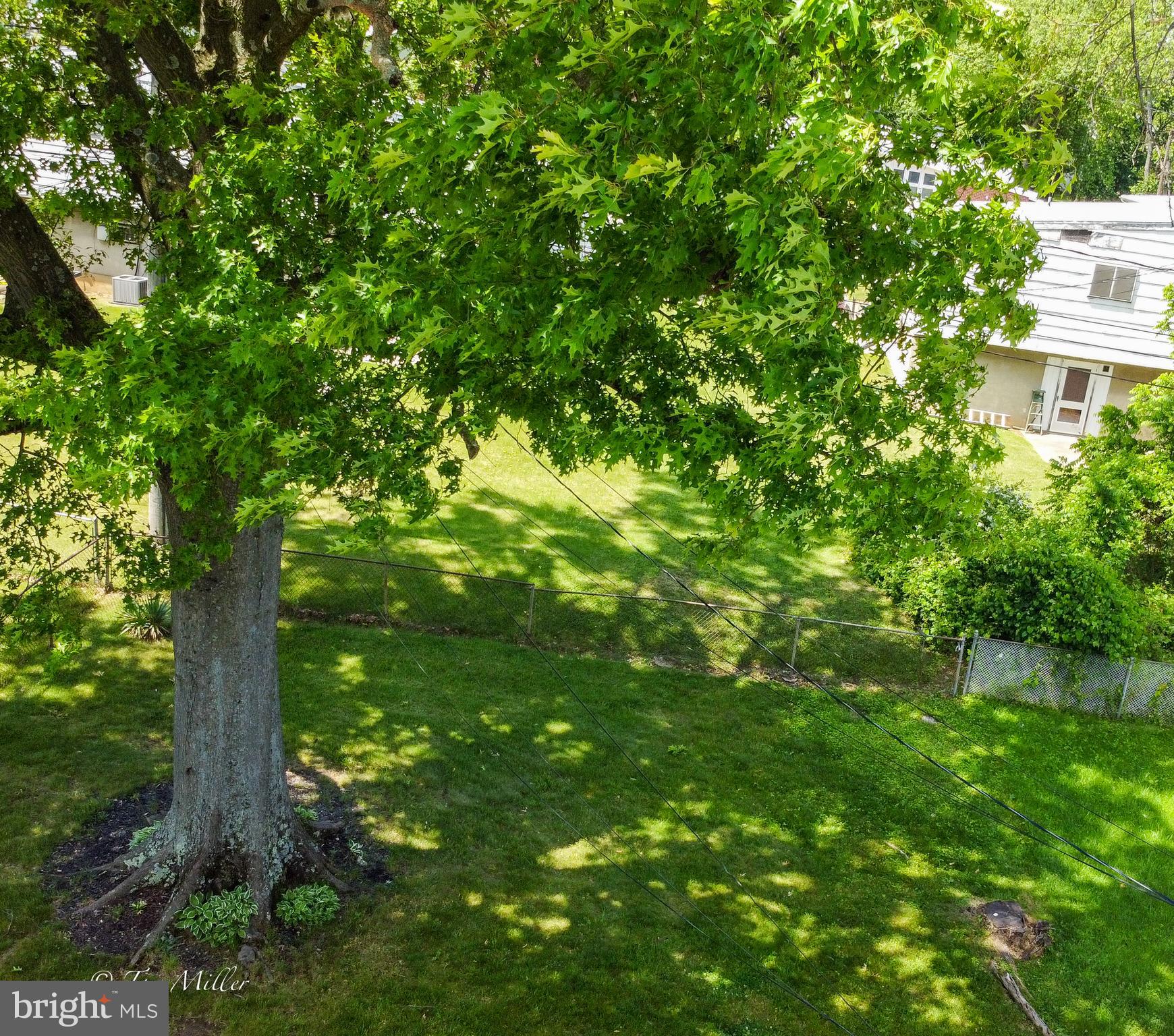 8123 Scotts Level Road Baltimore, MD 21208 - Photo 34 of 44 Rear Exterior