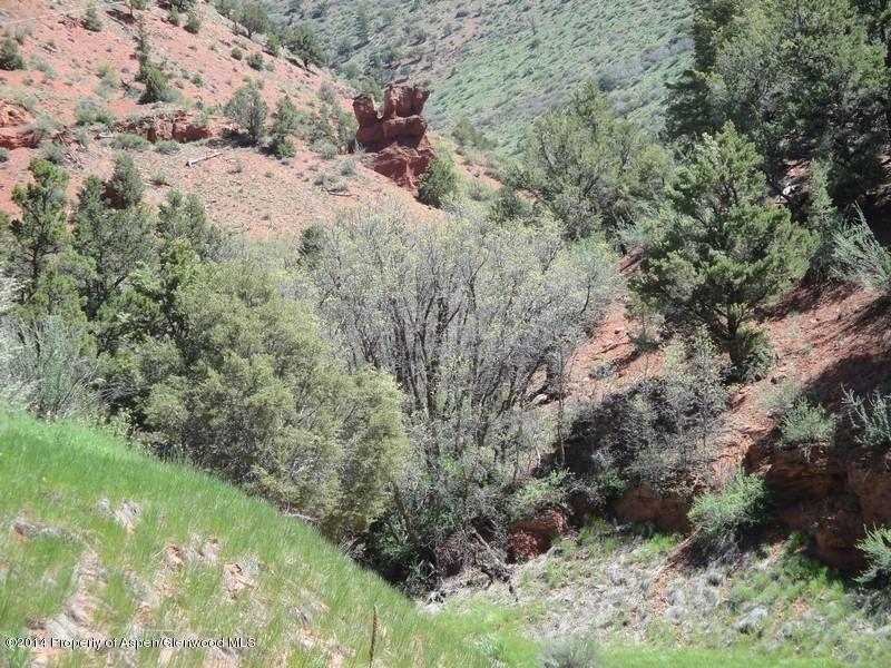 155 Strawberry Road Basalt, CO 81621 - Photo 12 of 12 View
