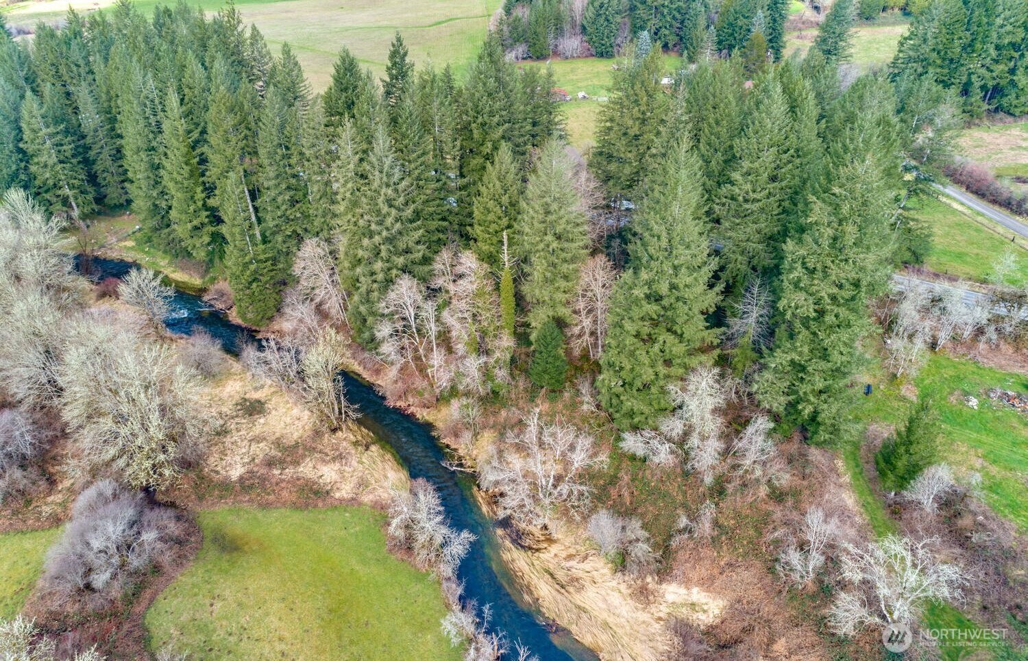 0 Northeast Cedar Creek Road Amboy, WA 98601 - Photo 11 of 21