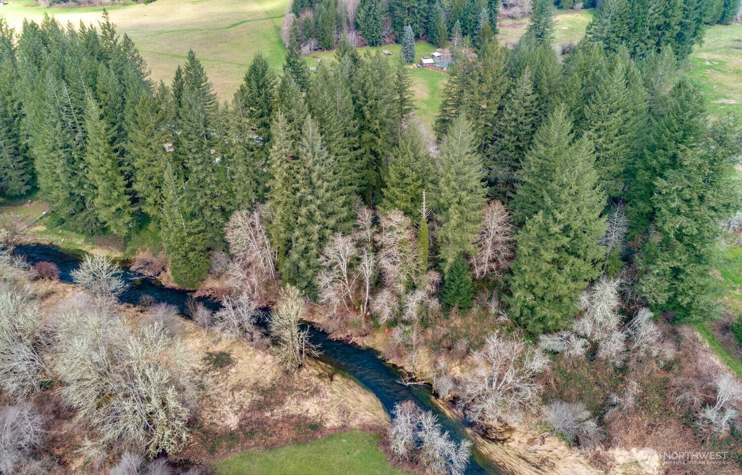 0 Northeast Cedar Creek Road Amboy, WA 98601 - Photo 12 of 21