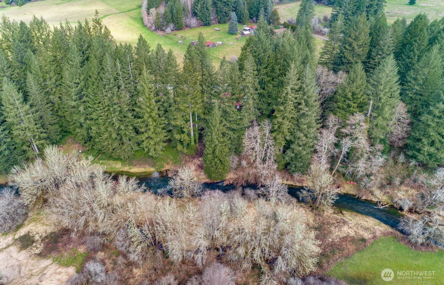 0 Northeast Cedar Creek Road Amboy, WA 98601 - Photo 13 of 21