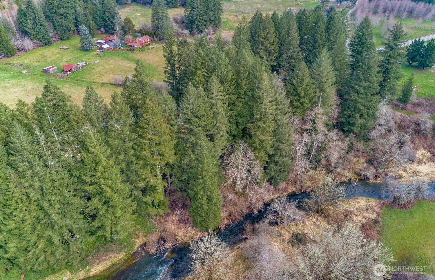 0 Northeast Cedar Creek Road Amboy, WA 98601 - Photo 14 of 21