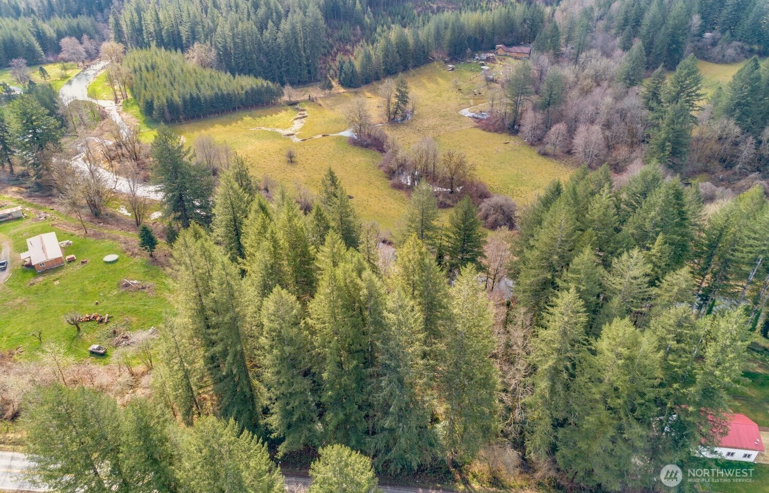 0 Northeast Cedar Creek Road Amboy, WA 98601 - Photo 16 of 21