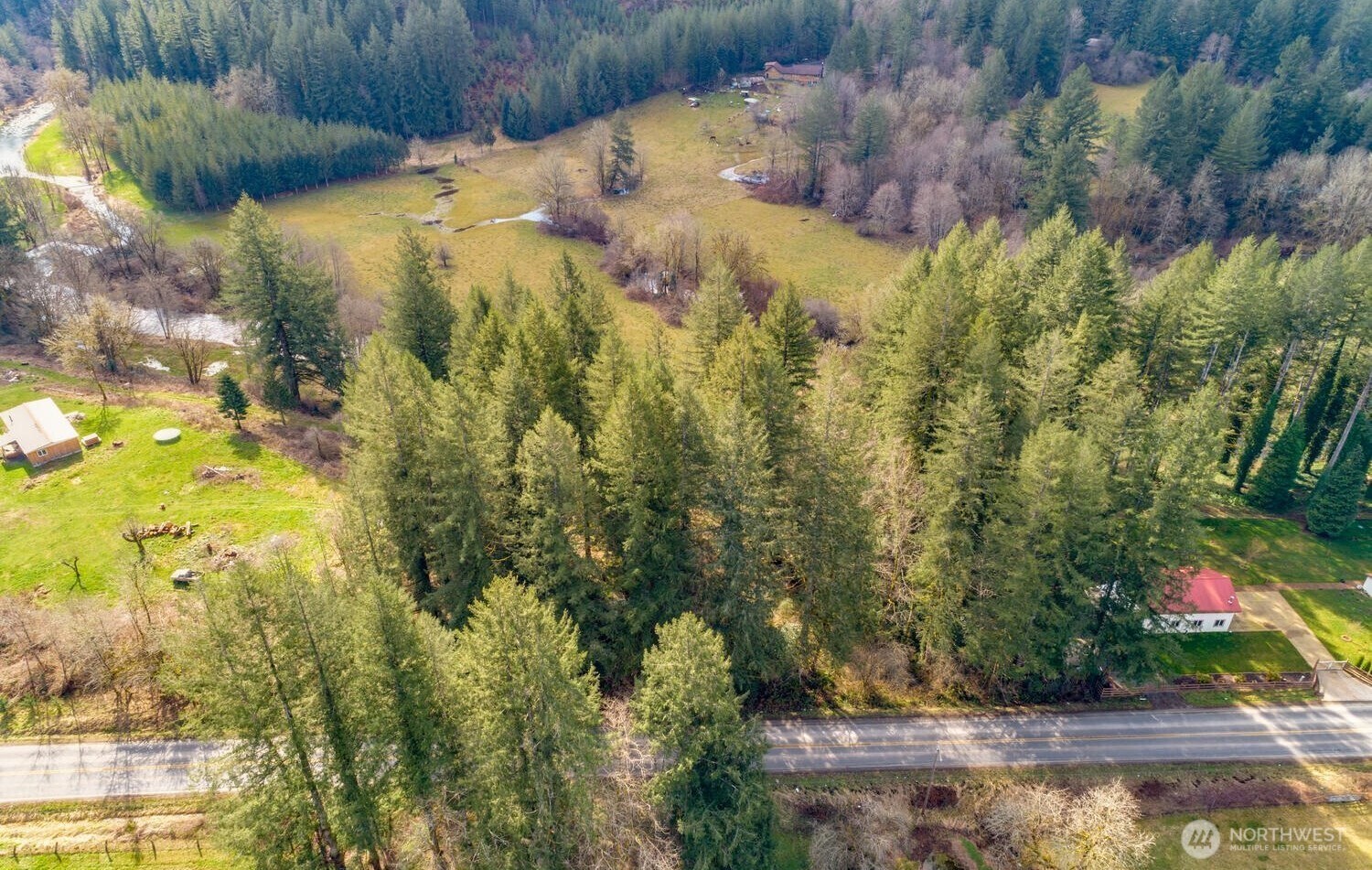 0 Northeast Cedar Creek Road Amboy, WA 98601 - Photo 17 of 21