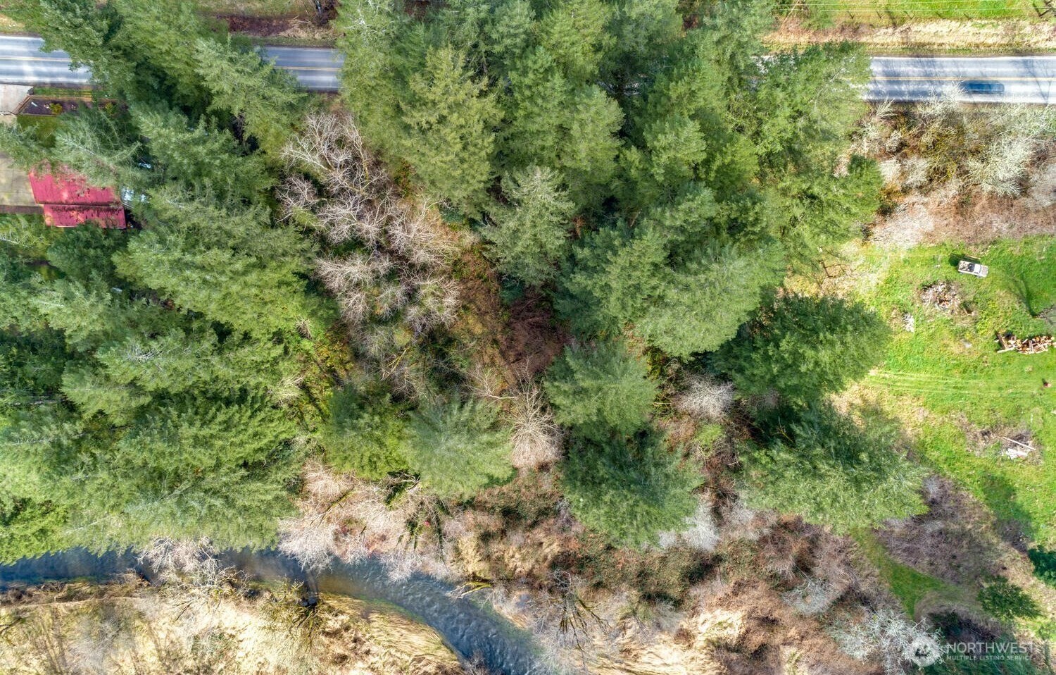 0 Northeast Cedar Creek Road Amboy, WA 98601 - Photo 18 of 21