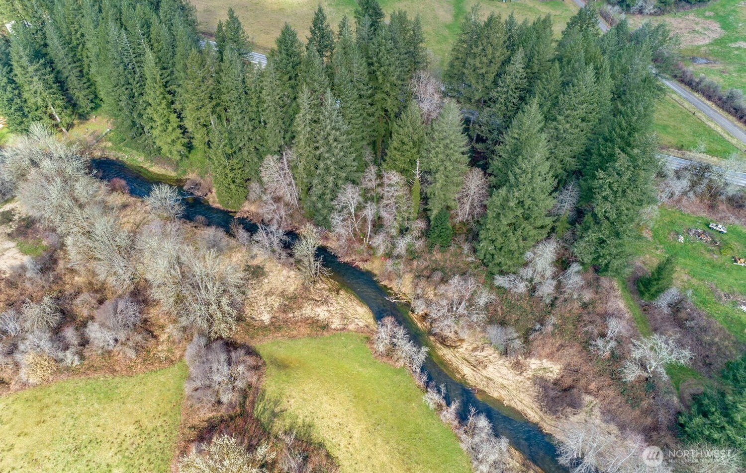 0 Northeast Cedar Creek Road Amboy, WA 98601 - Photo 19 of 21