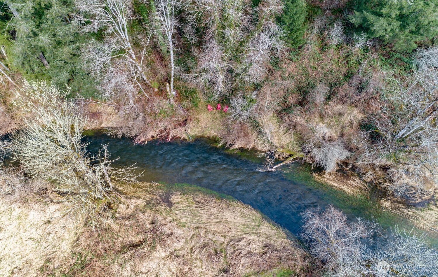 0 Northeast Cedar Creek Road Amboy, WA 98601 - Photo 20 of 21