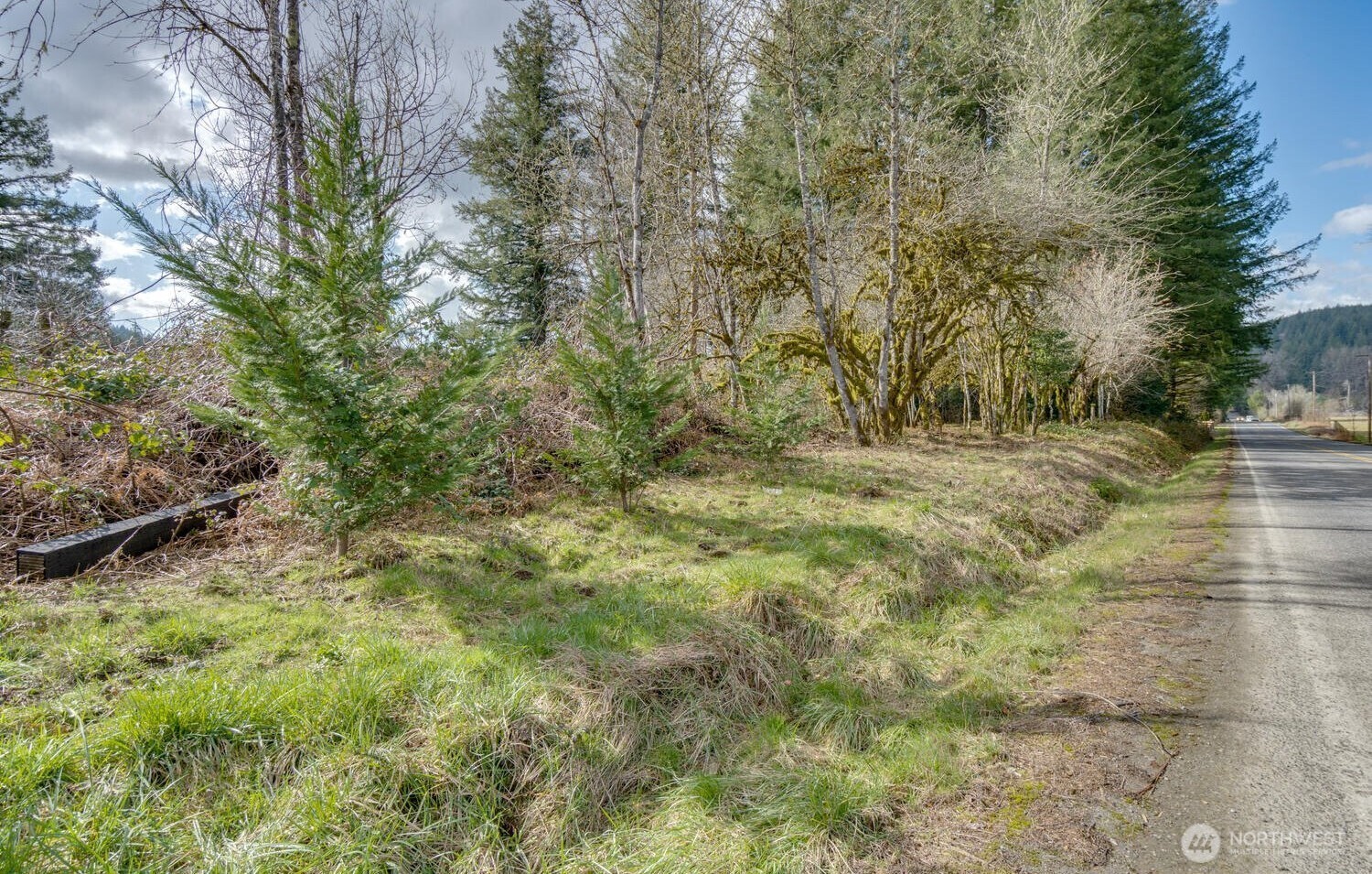 0 Northeast Cedar Creek Road Amboy, WA 98601 - Photo 2 of 21