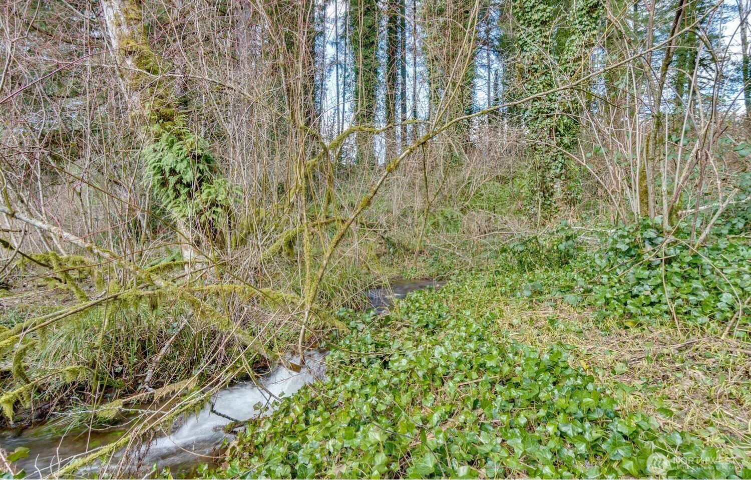0 Northeast Cedar Creek Road Amboy, WA 98601 - Photo 5 of 21