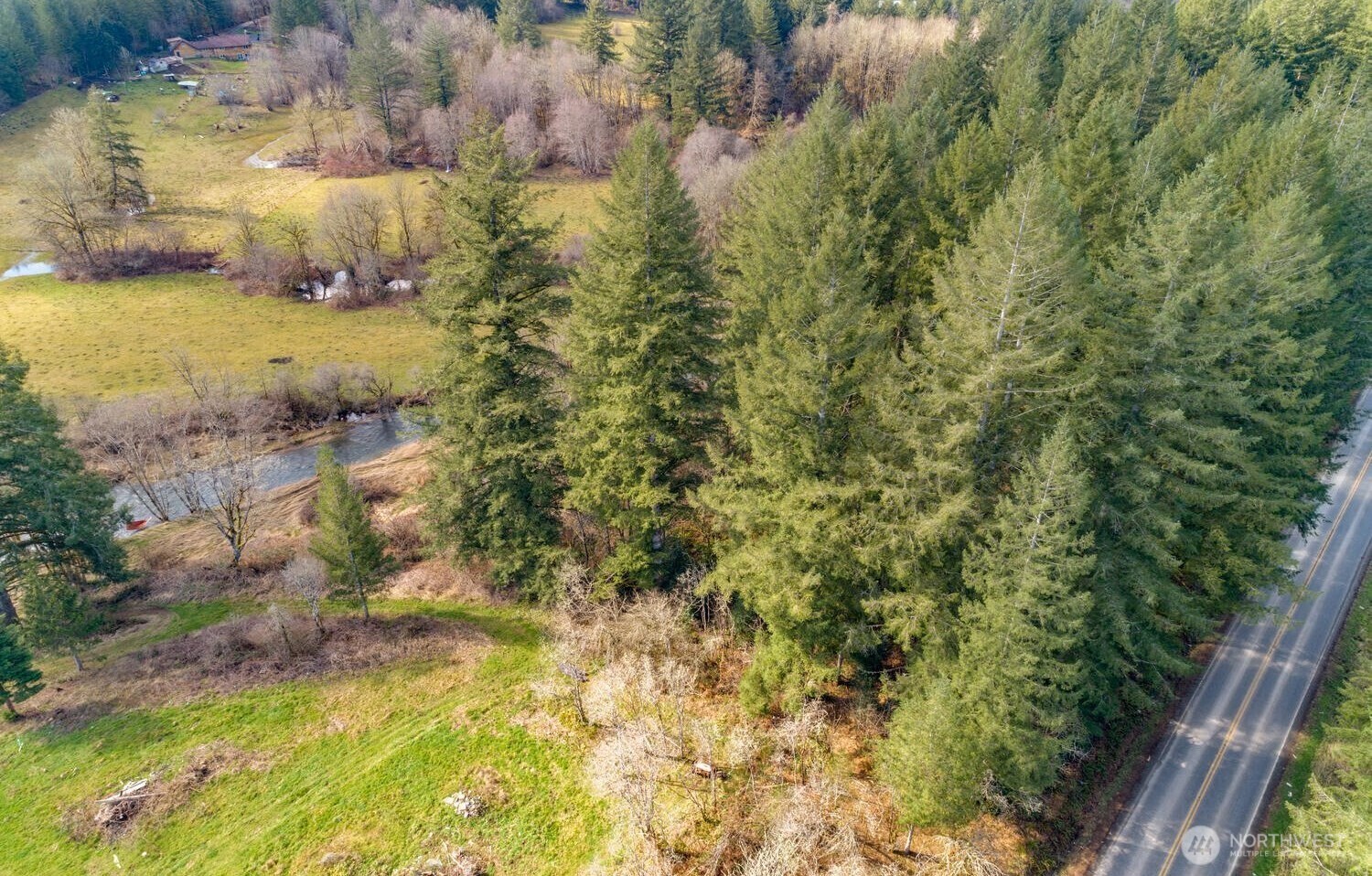0 Northeast Cedar Creek Road Amboy, WA 98601 - Photo 7 of 21