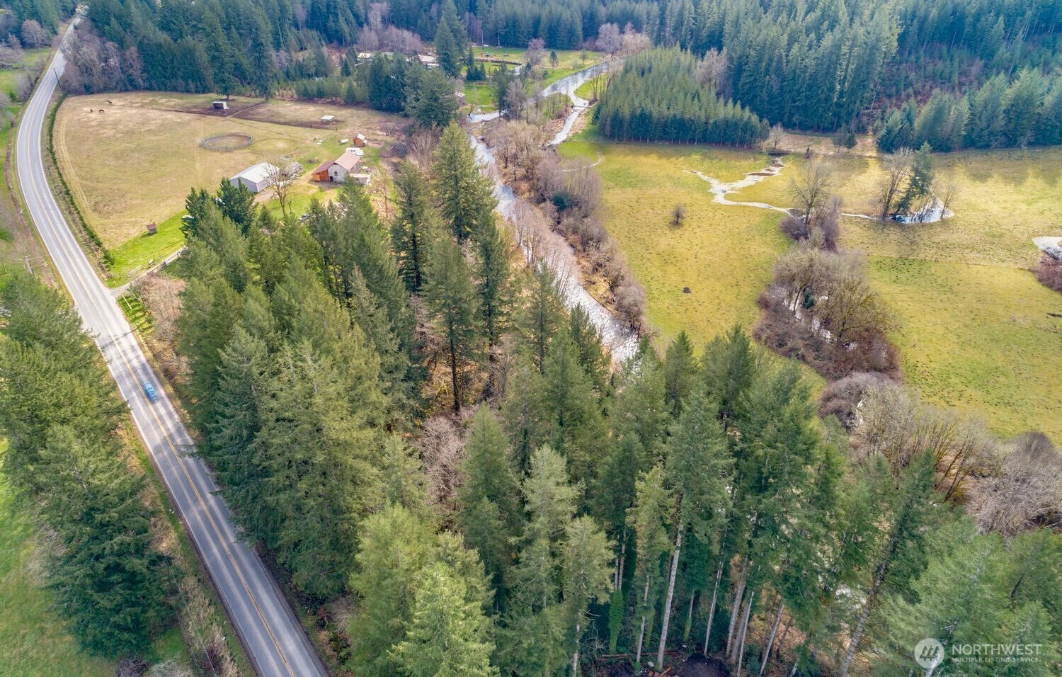 0 Northeast Cedar Creek Road Amboy, WA 98601 - Photo 8 of 21