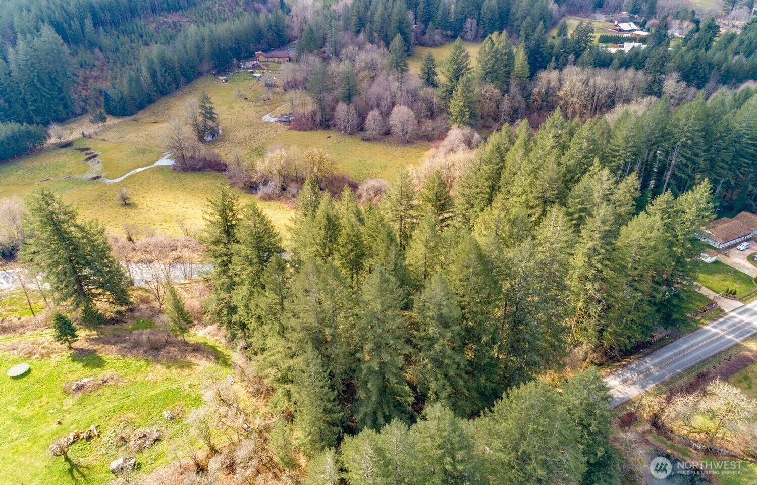 0 Northeast Cedar Creek Road Amboy, WA 98601 - Photo 9 of 21