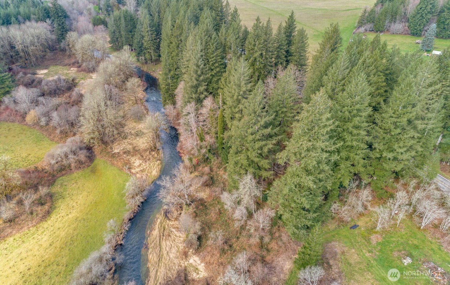 0 Northeast Cedar Creek Road Amboy, WA 98601 - Photo 10 of 21