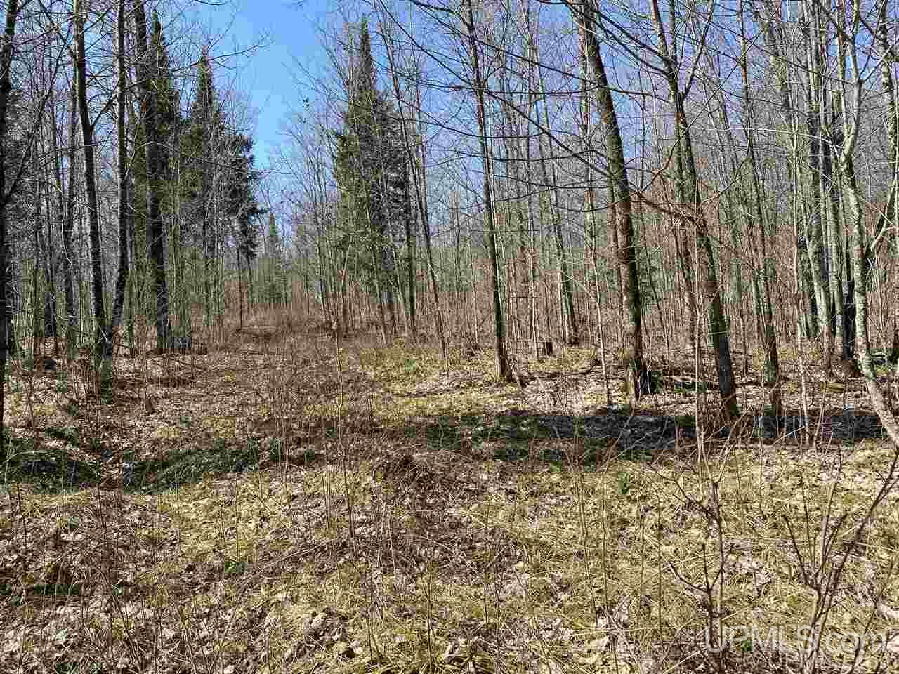 Off Nelson Road Glidden, WI 54527 - Photo 21 of 23