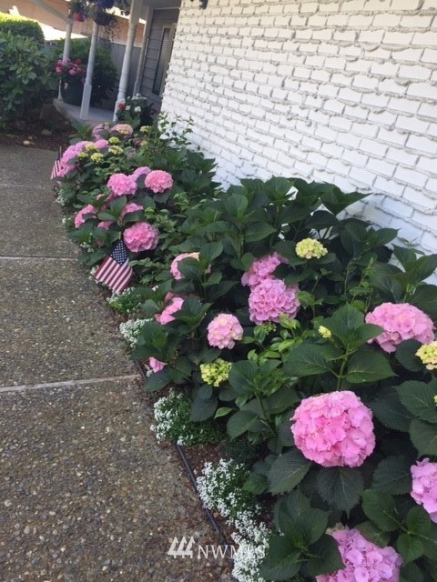14653 Southeast 172nd Street Renton, WA 98058 - Photo 24 of 25 Gallery Image 24