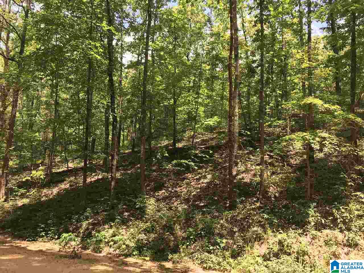 708 County Road, Unit 5 4 Verbena, AL 36091 - Photo 7 of 16