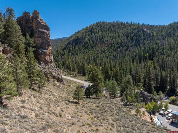 a view of a trees with a backyard