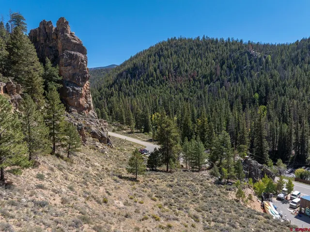 a view of a trees with a backyard
