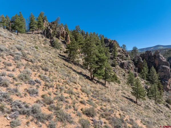 a view of a yard with a pathway