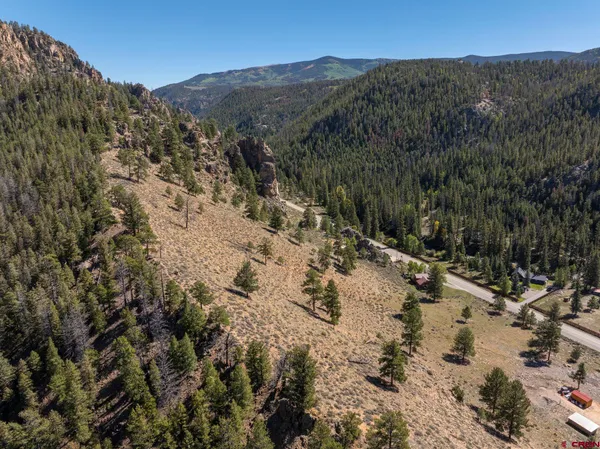 a view of a dry yard with trees in the background