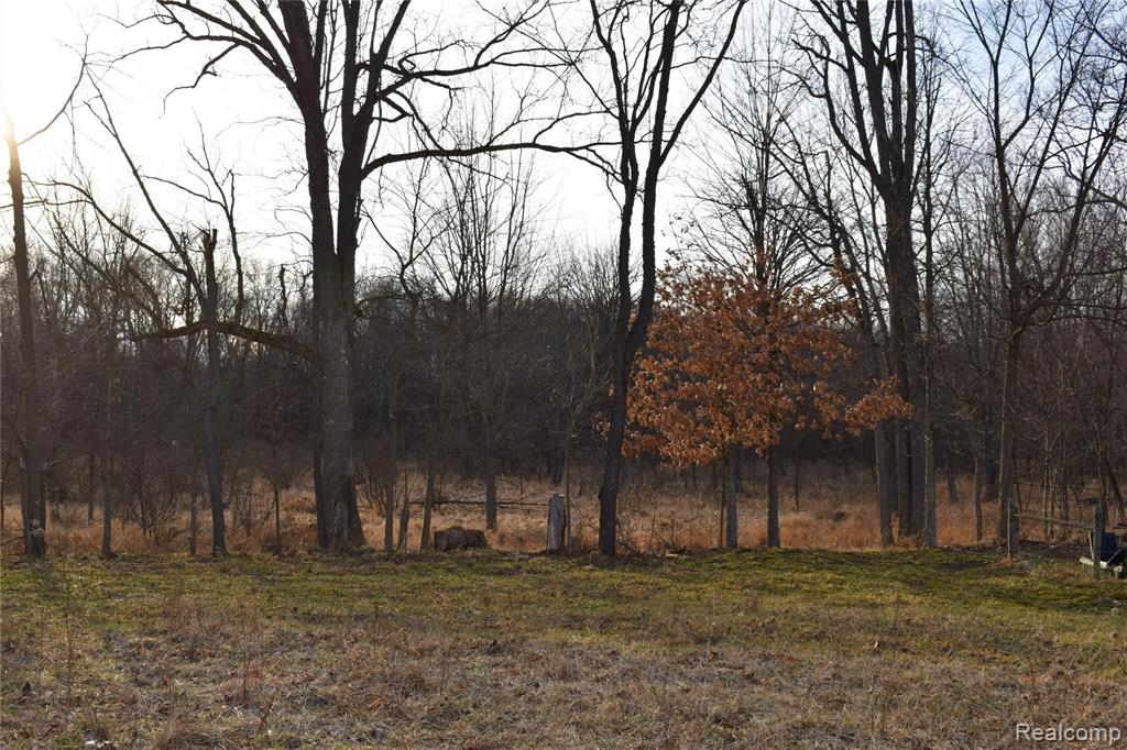 0 Bull Run Road Fowlerville, MI 48836 - Photo 4 of 10 Gallery Image 4