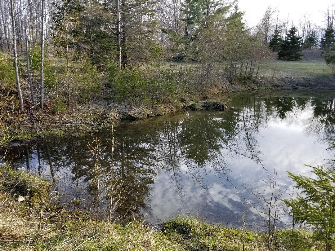 5648 West Poglese Road Hessel, MI 49745 - Photo 9 of 24 Gallery Image 9