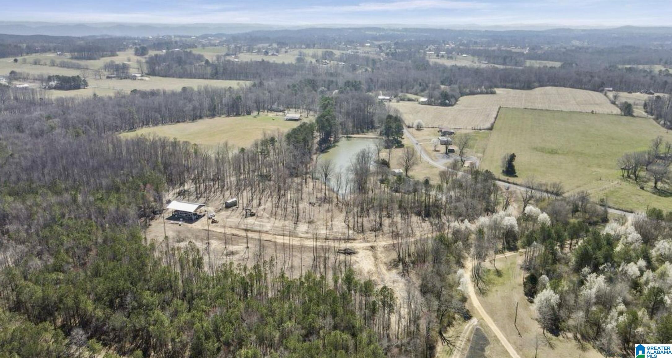 657 Maze Road Arab, AL 35016 - Photo 10 of 18