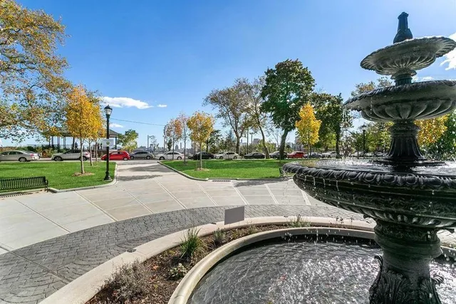 a view of a yard with plants