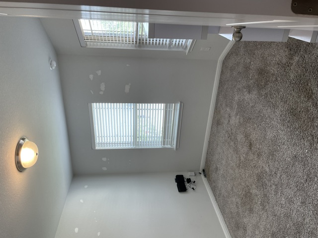 12401 Amber Lynn Path Manor, TX 78653 - Photo 23 of 33 A well-lit bedroom features plush carpet and multiple windows, offering comfort and natural illumination.