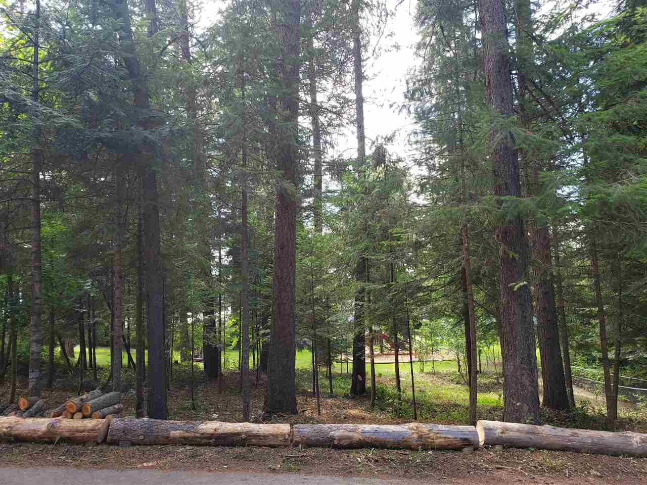 131 Knott Road Newport, WA 99156 - Photo 2 of 9 Gallery Image 2