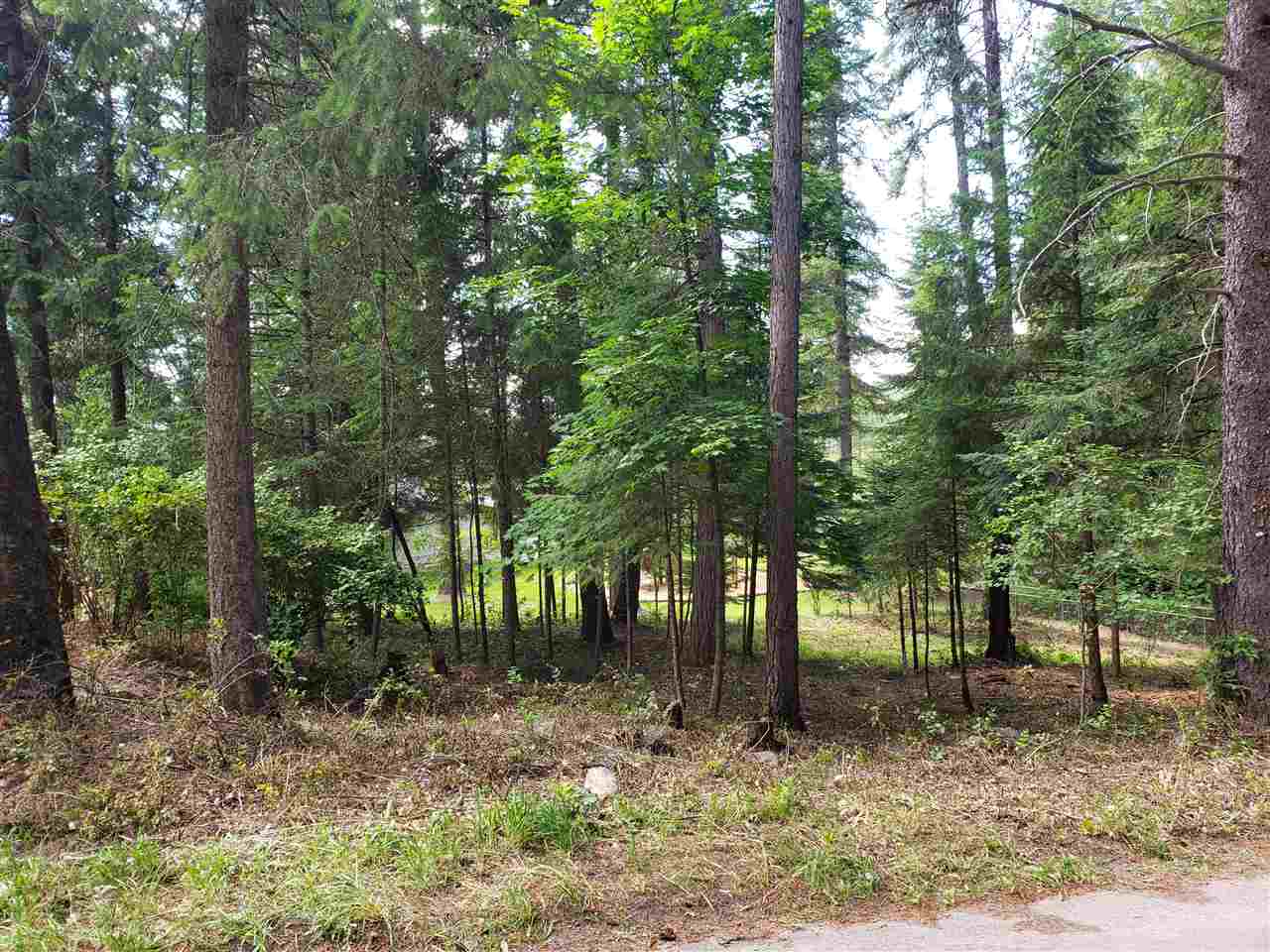 131 Knott Road Newport, WA 99156 - Photo 5 of 9 Gallery Image 5