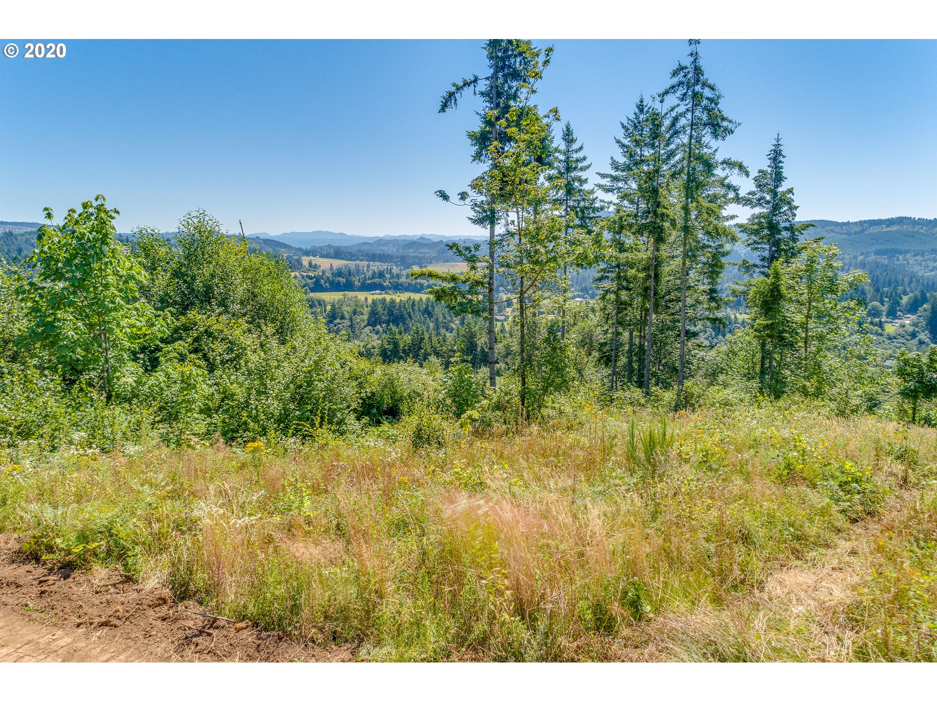 417 Hansen Ext Road Woodland, WA 98674 - Photo 18 of 20 Gallery Image 18